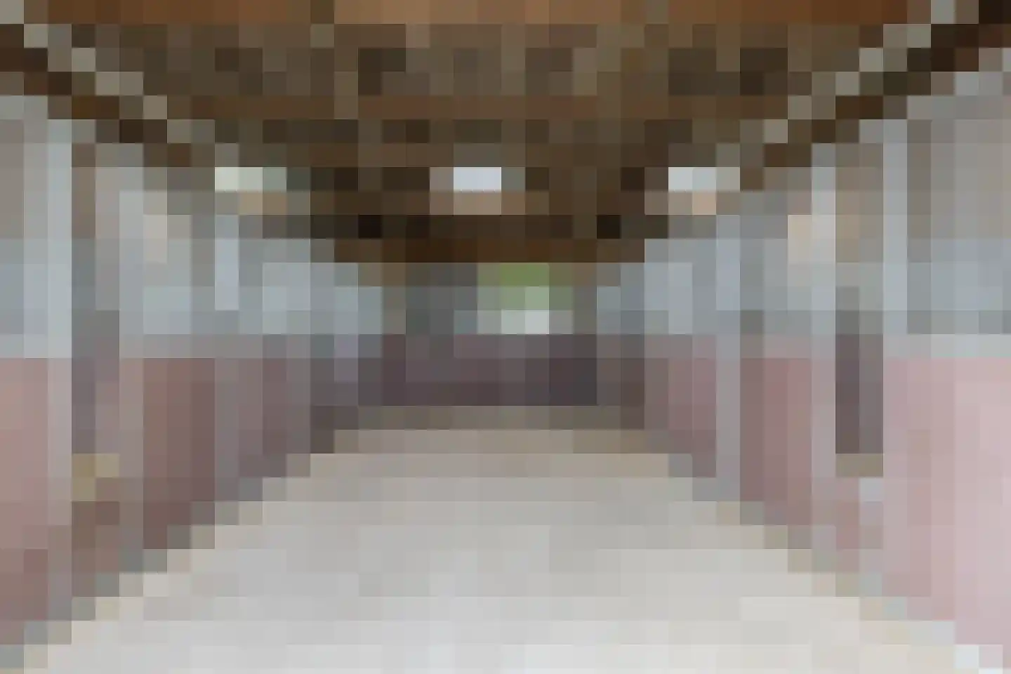 De Ruttestraat 10 Netersel thumbnail 52