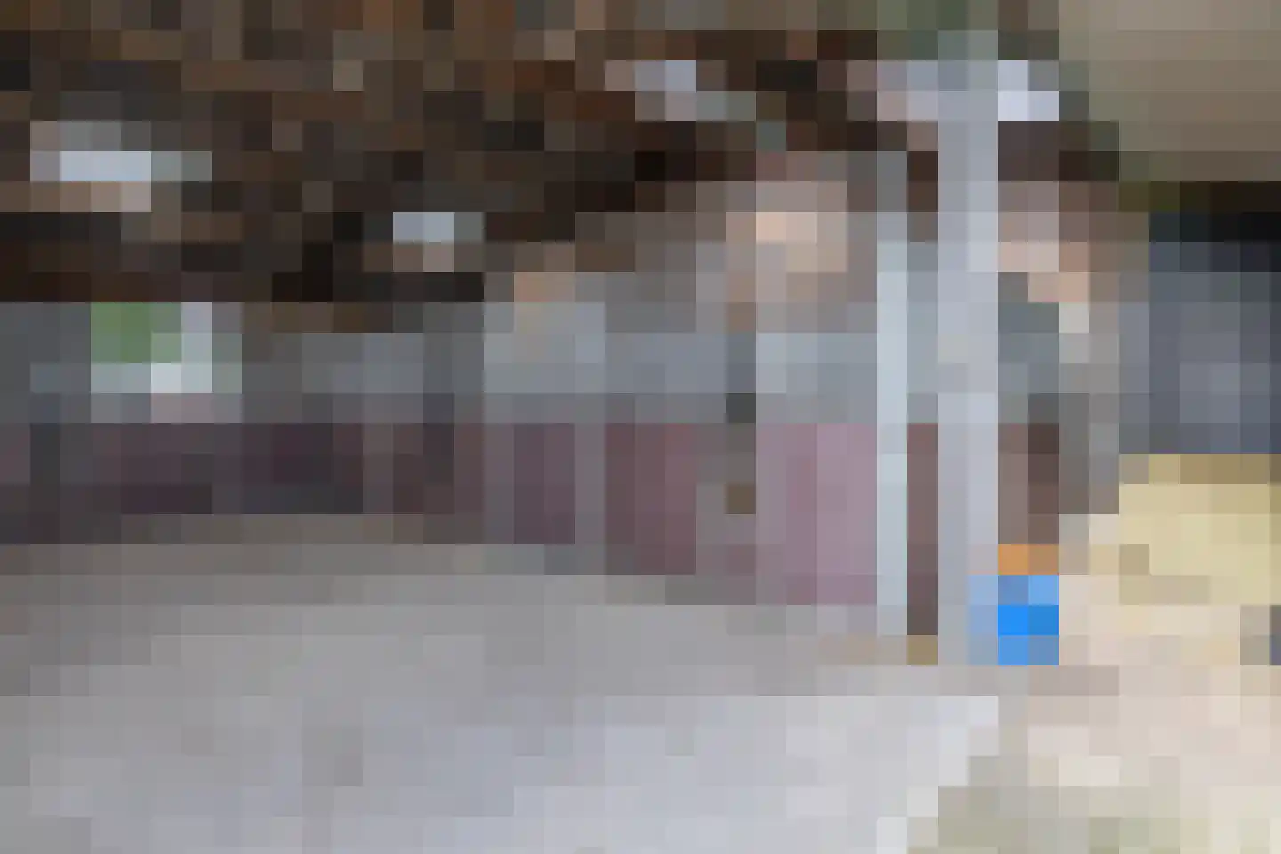 De Ruttestraat 10 Netersel thumbnail 53