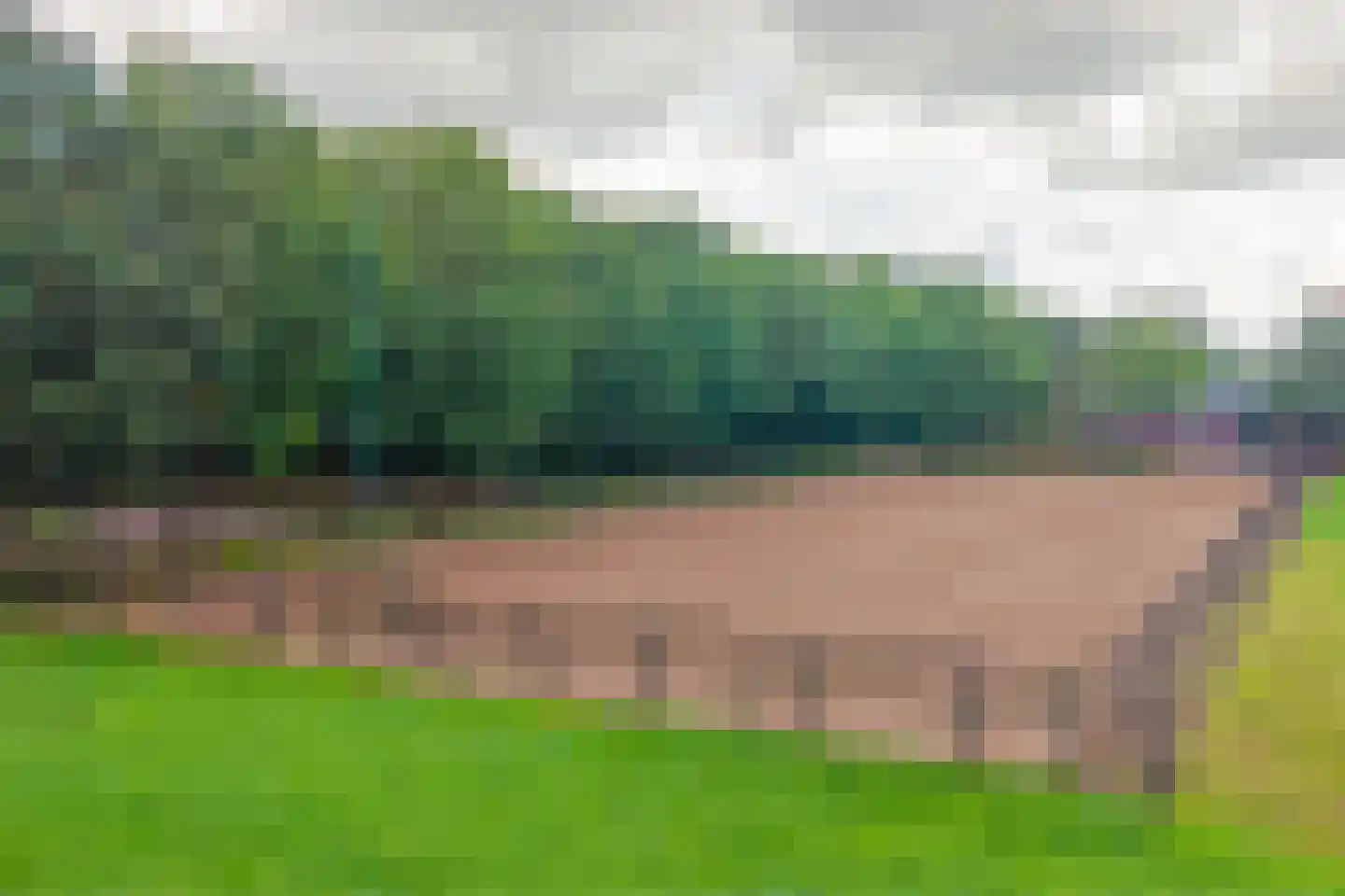 De Ruttestraat 10 Netersel thumbnail 56