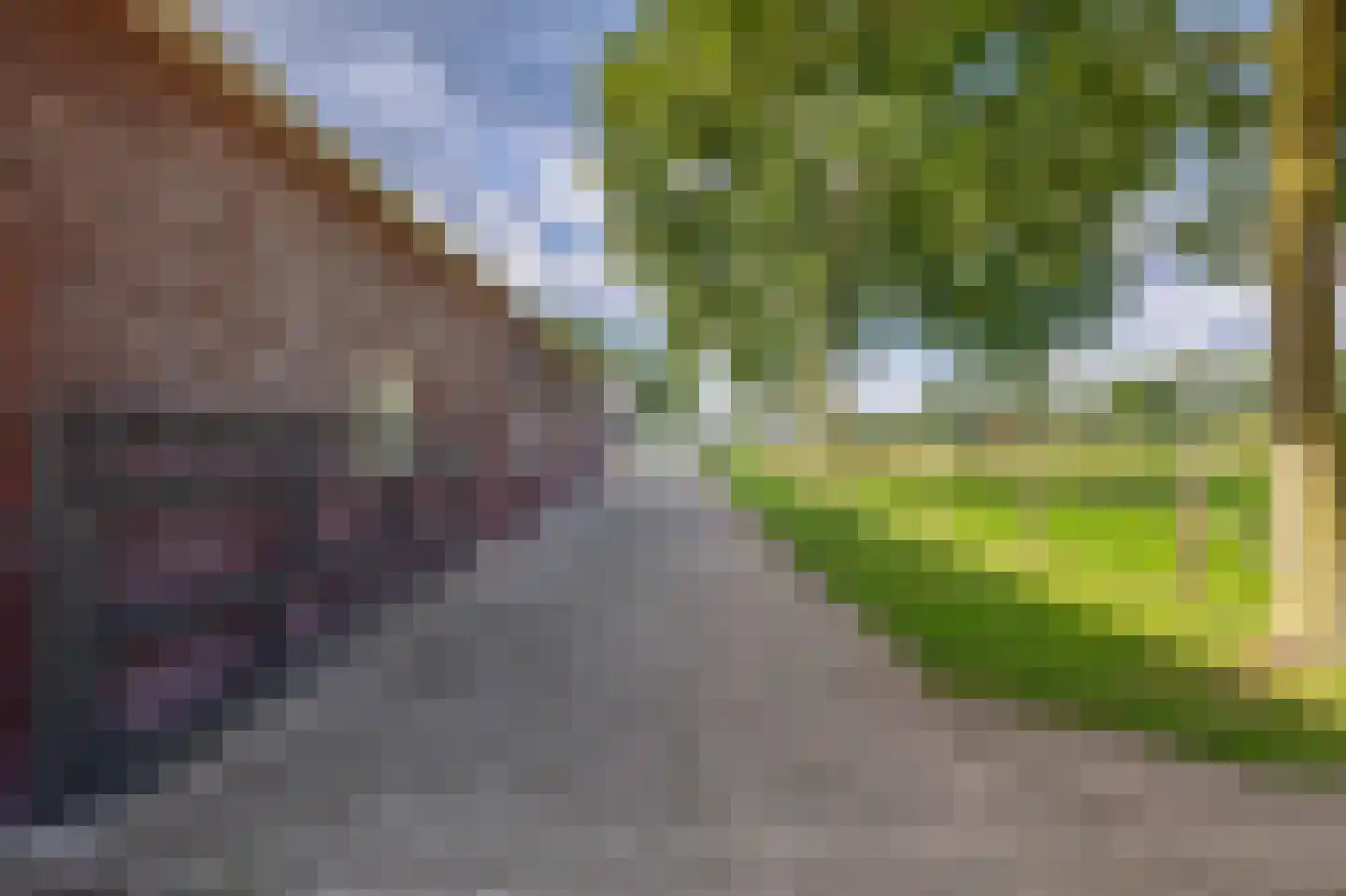 De Ruttestraat 10 Netersel thumbnail 60