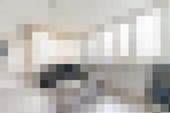 de Ruy 98 Oostvoorne thumbnail 16