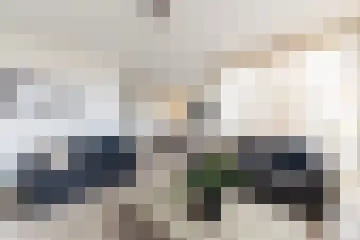 de Ruy 98 Oostvoorne foto 2