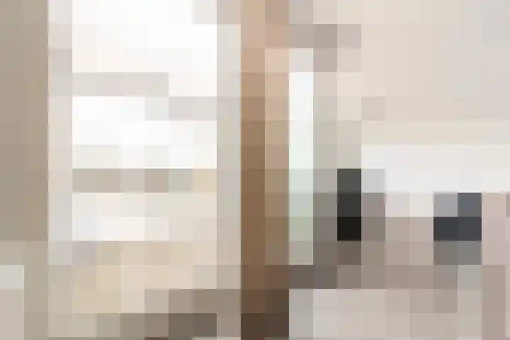 de Ruy 98 Oostvoorne thumbnail 20