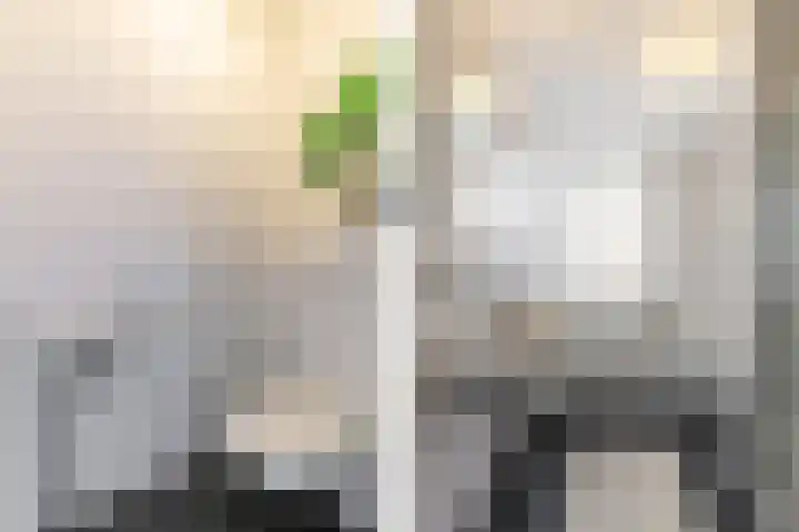 de Ruy 98 Oostvoorne thumbnail 31