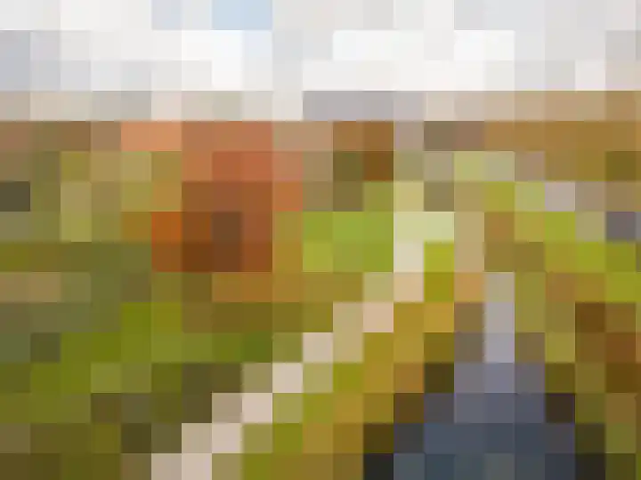 de Ruy 98 Oostvoorne thumbnail 42