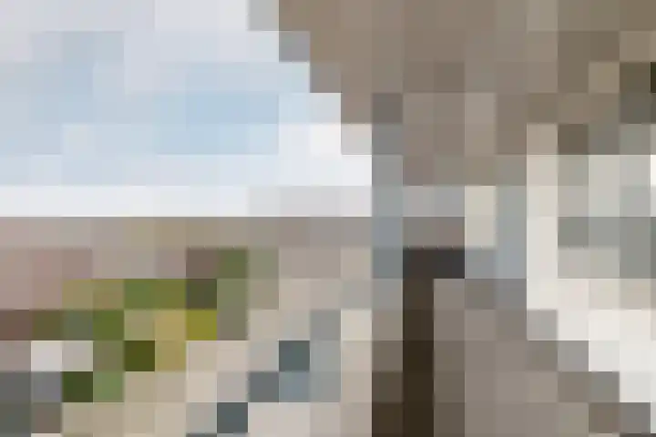de Ruy 98 Oostvoorne thumbnail 9