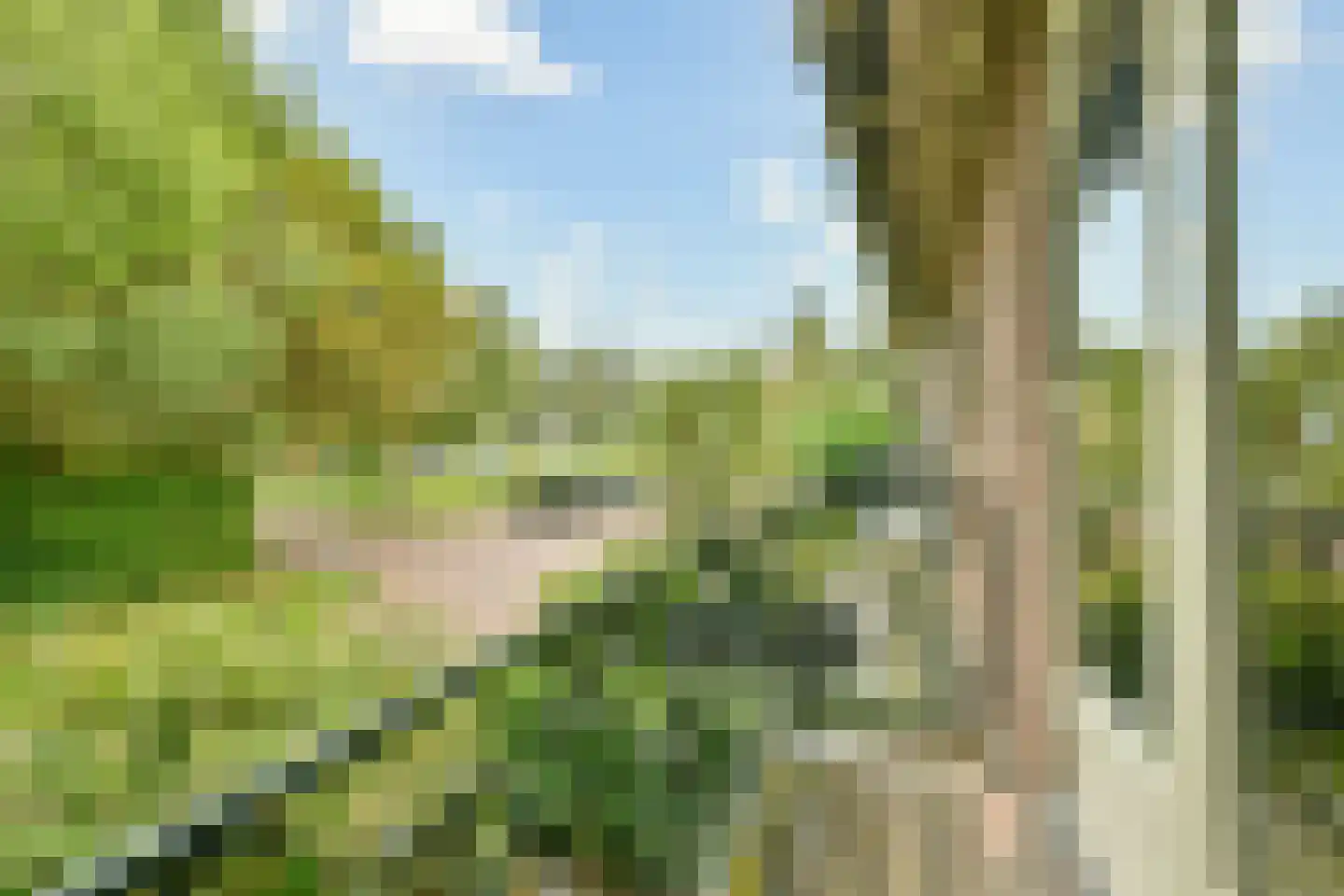 De Ruyschlaan 155 Amstelveen thumbnail 18