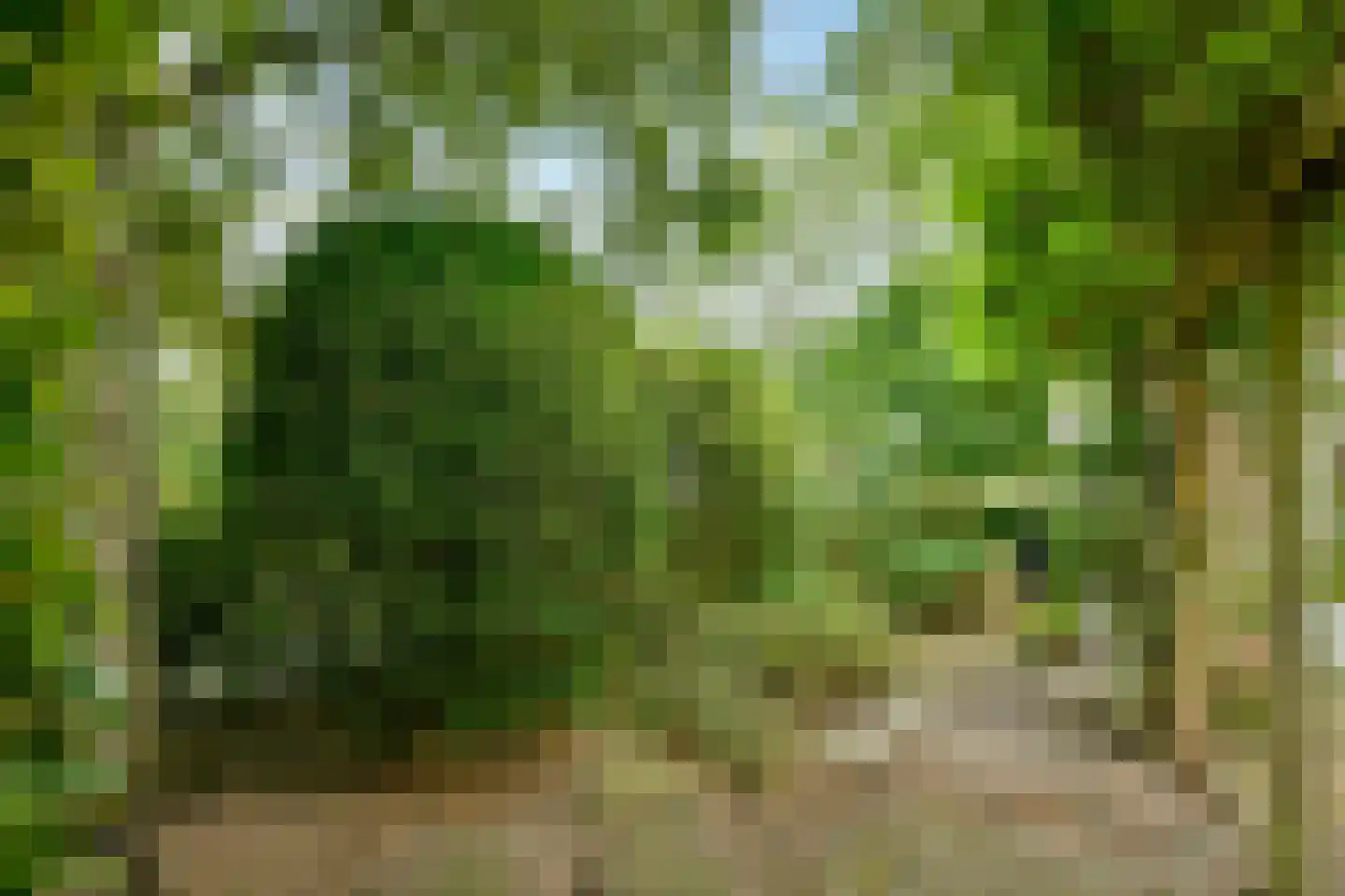 De Ruyschlaan 155 Amstelveen thumbnail 32