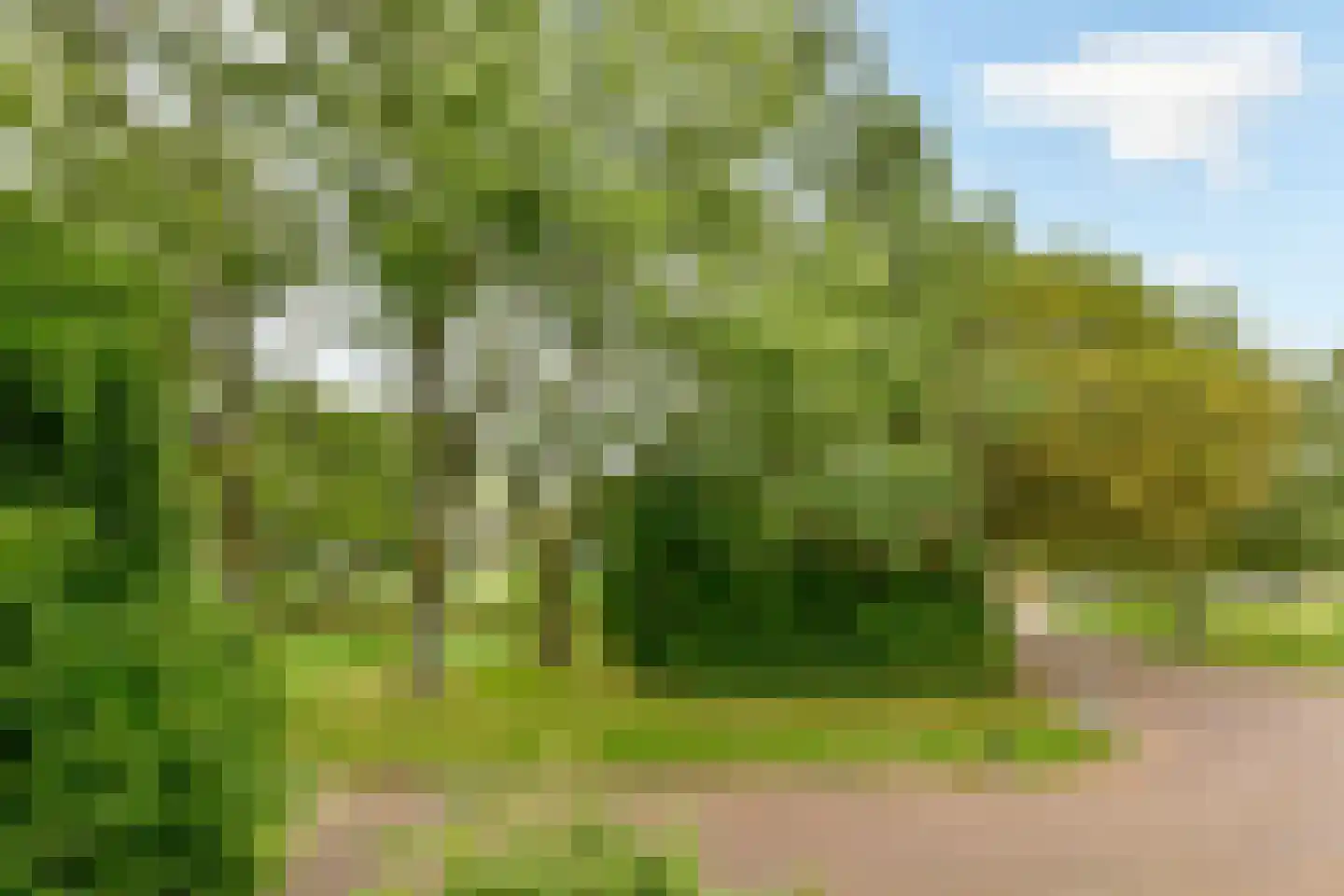De Ruyschlaan 155 Amstelveen thumbnail 35