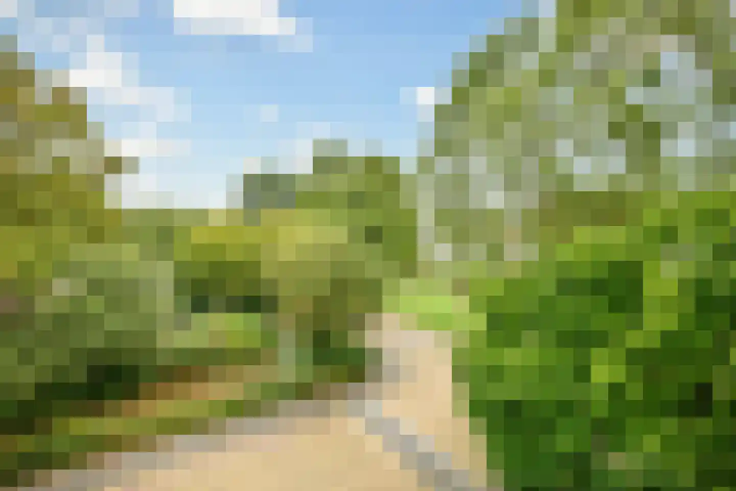 De Ruyschlaan 155 Amstelveen thumbnail 36