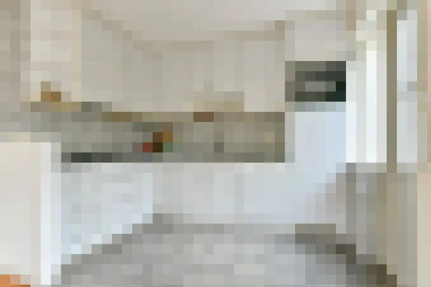 De Ruyschlaan 155 Amstelveen thumbnail 9