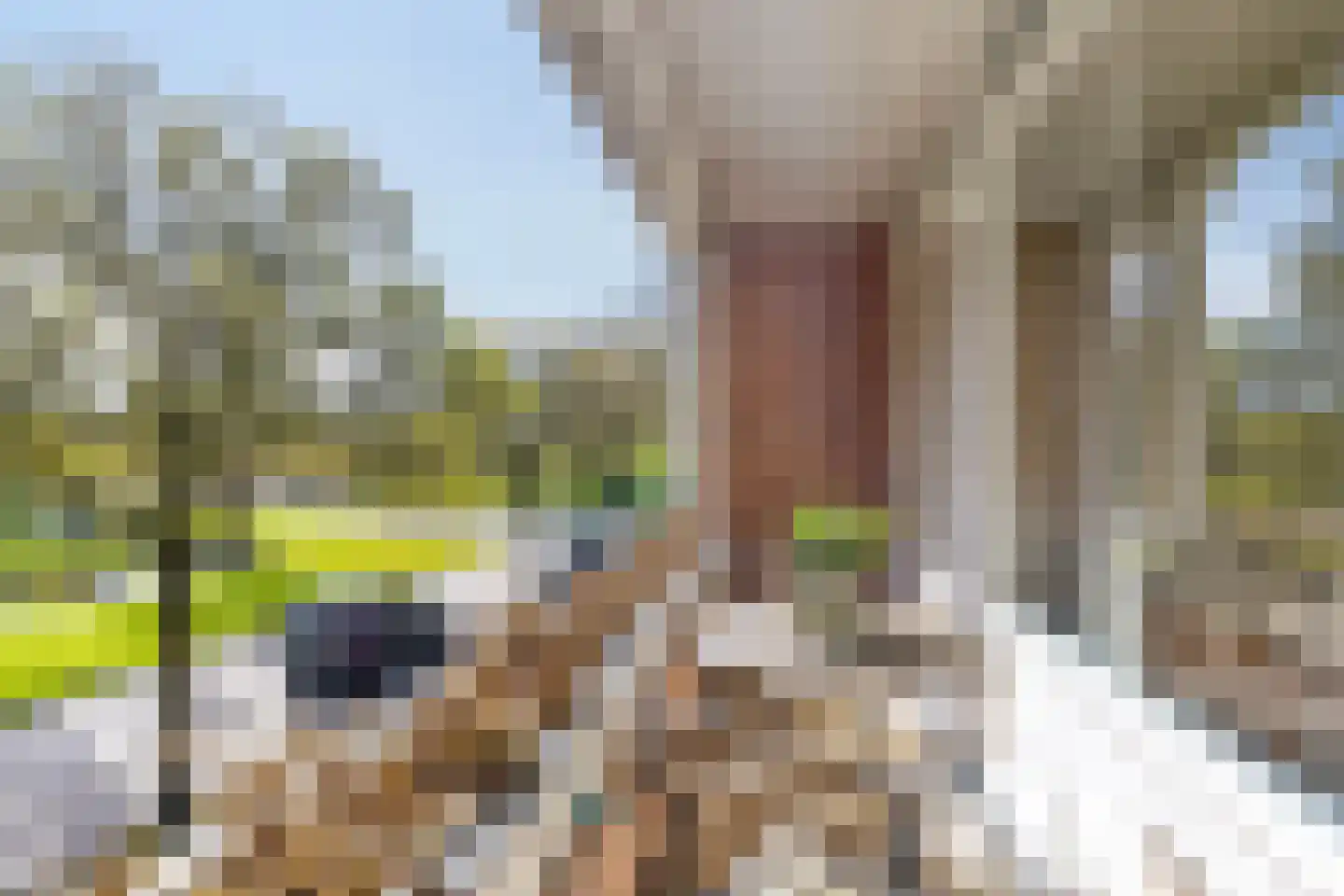 De Ruyschlaan 199 Amstelveen thumbnail 14