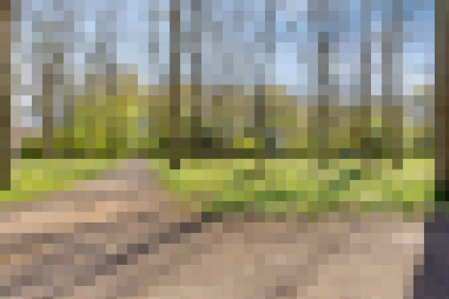 De Ruyschlaan 199 Amstelveen thumbnail 32