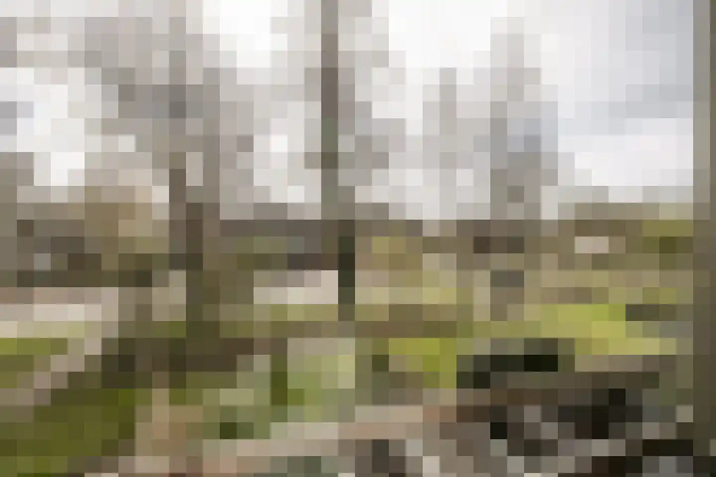 de Ruyterlaan 131 Bennebroek thumbnail 18