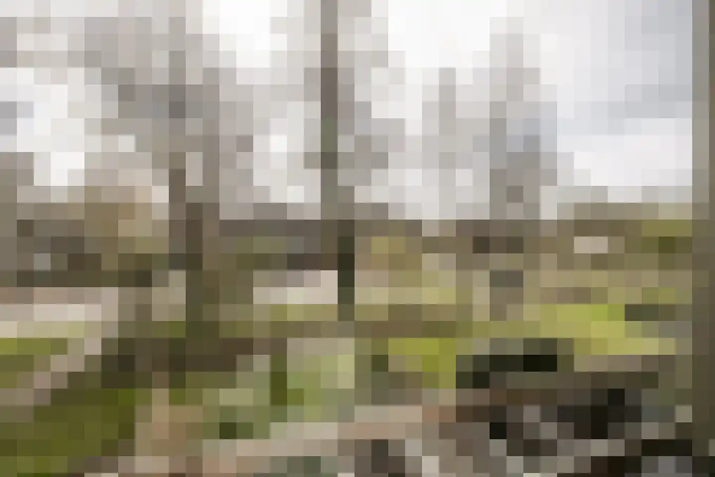 de Ruyterlaan 131 Bennebroek thumbnail 19