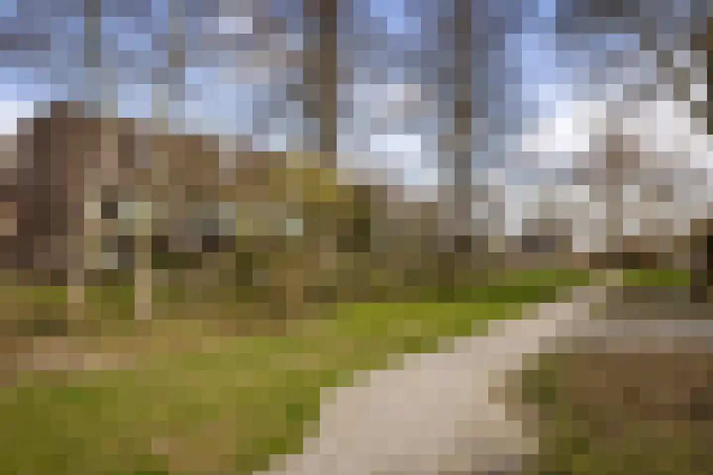 de Ruyterlaan 131 Bennebroek thumbnail 37