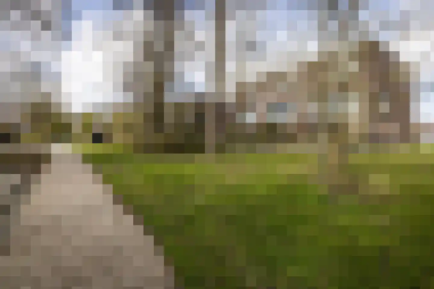 de Ruyterlaan 131 Bennebroek thumbnail 38