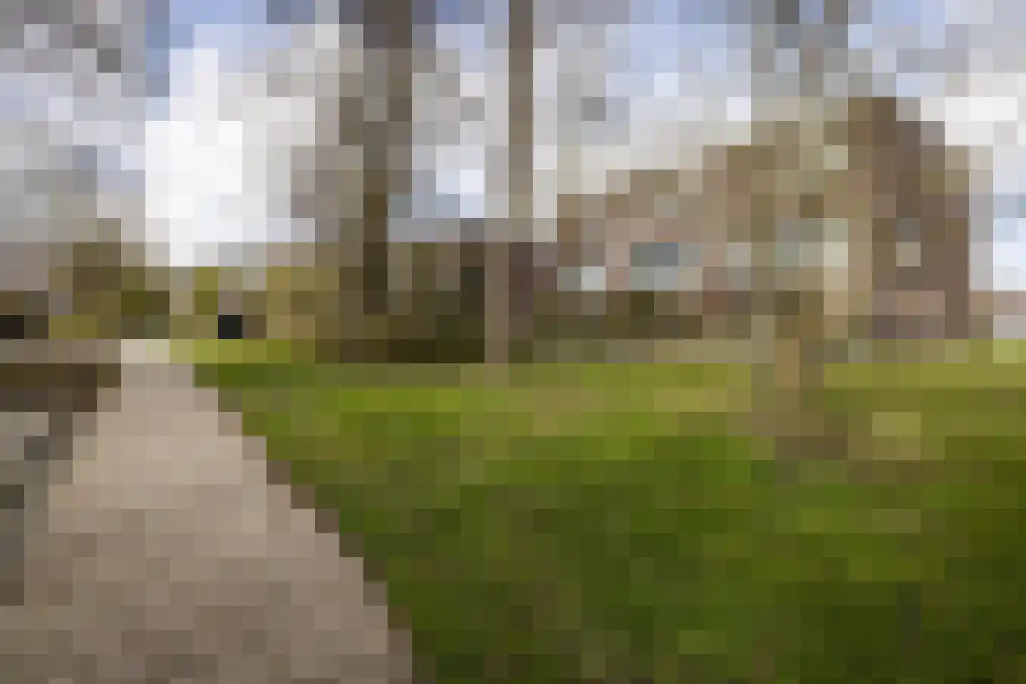 de Ruyterlaan 131 Bennebroek thumbnail 38