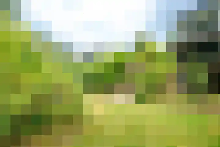 de Ruyterlaan 23 Doorn thumbnail 17