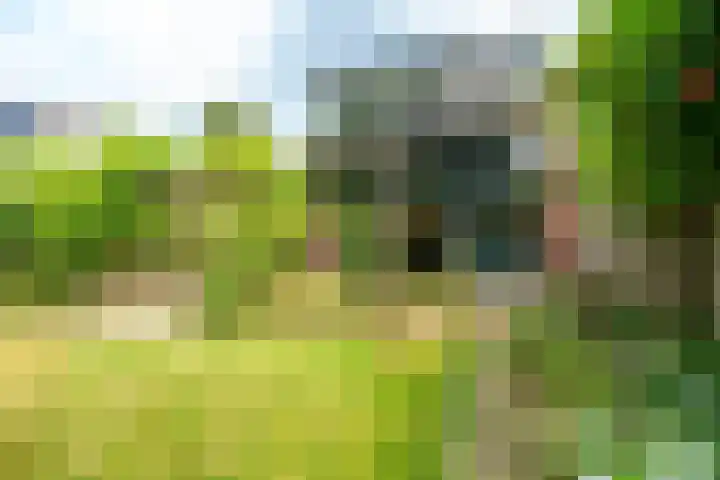 de Ruyterlaan 23 Doorn thumbnail 18