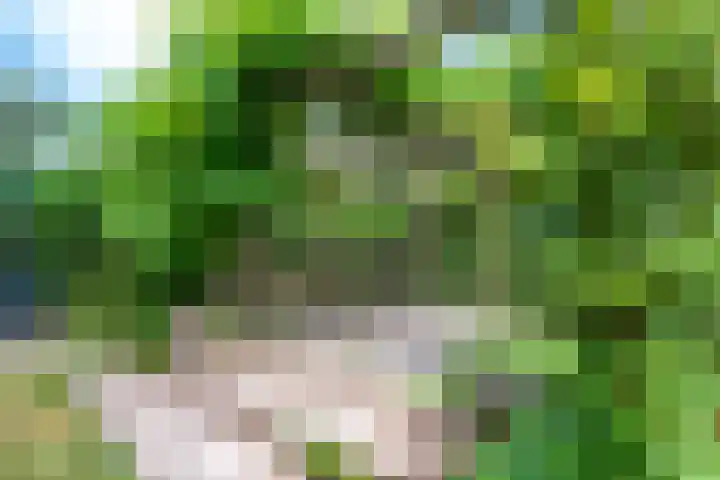 de Ruyterlaan 23 Doorn thumbnail 19