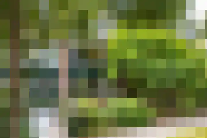 de Ruyterlaan 23 Doorn thumbnail 20