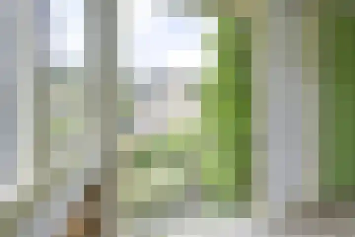 de Ruyterlaan 23 Doorn thumbnail 33