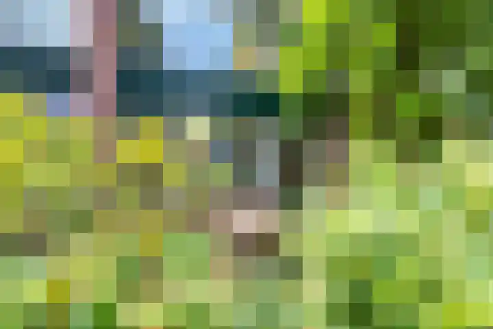 de Ruyterlaan 23 Doorn thumbnail 40
