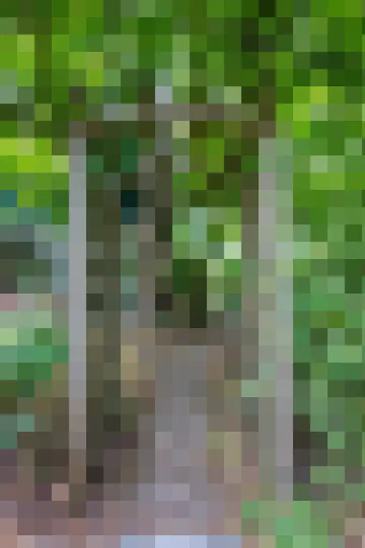 de Ruyterlaan 23 Doorn thumbnail 41