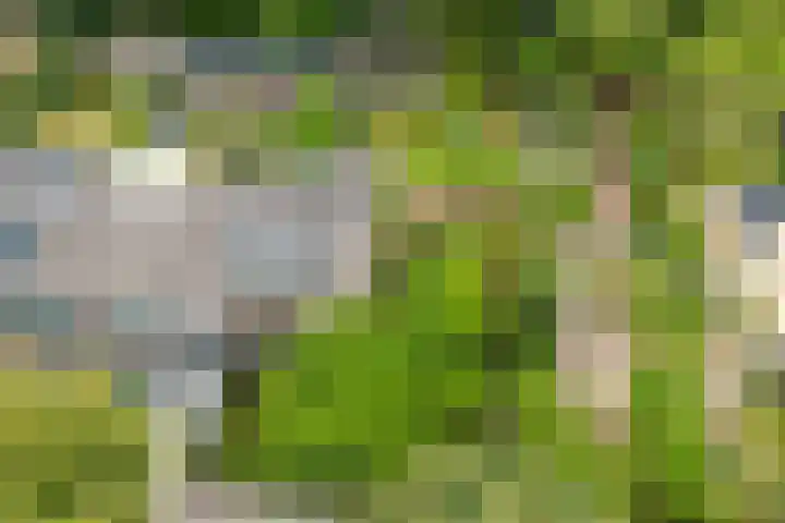 de Ruyterlaan 23 Doorn thumbnail 42