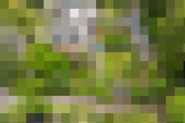 de Ruyterlaan 23 Doorn thumbnail 43