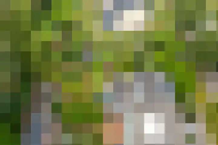 de Ruyterlaan 23 Doorn thumbnail 44