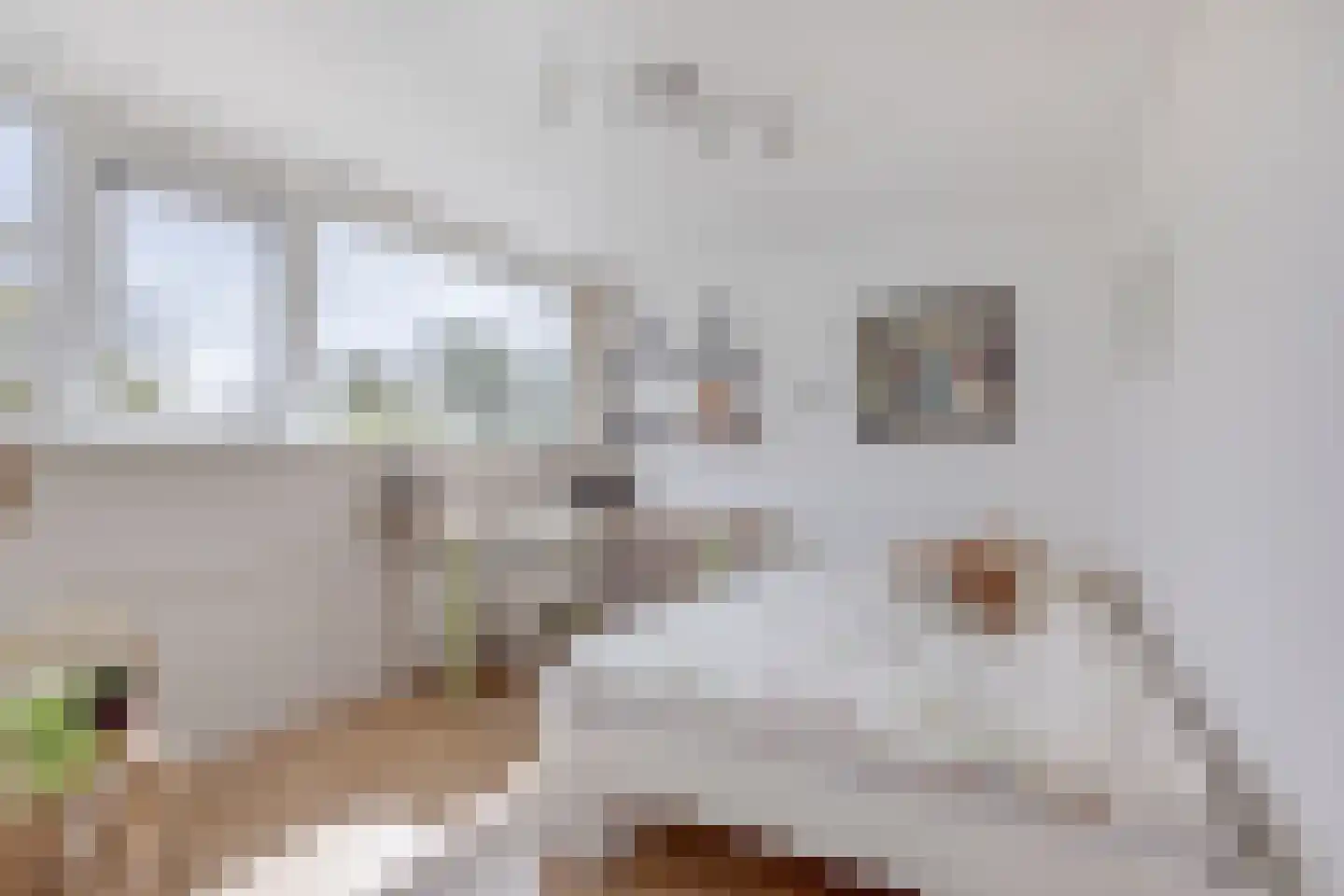 de Ruyterlaan 24 Bennebroek thumbnail 31