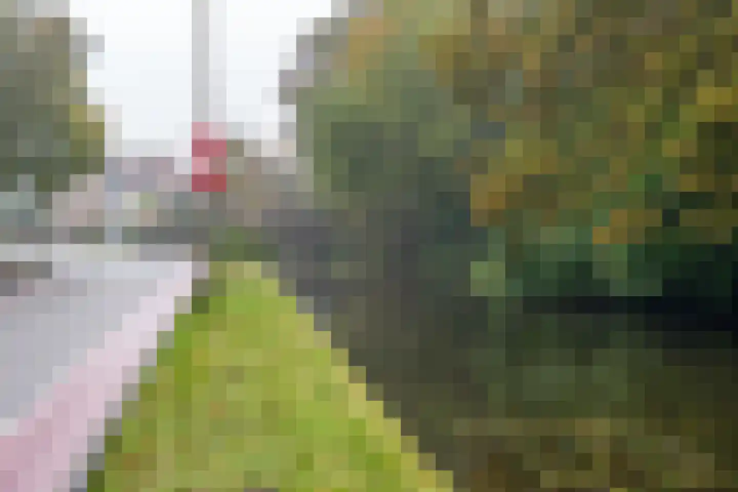 de Ruyterlaan 24 Bennebroek thumbnail 40