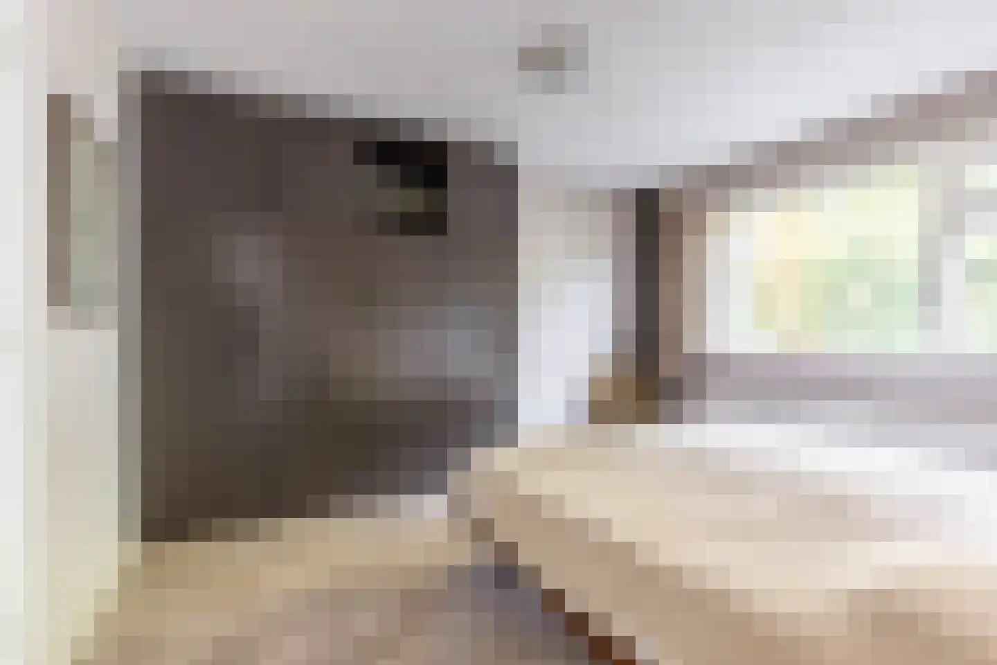 de Ruyterlaan 32 Bennebroek thumbnail 17