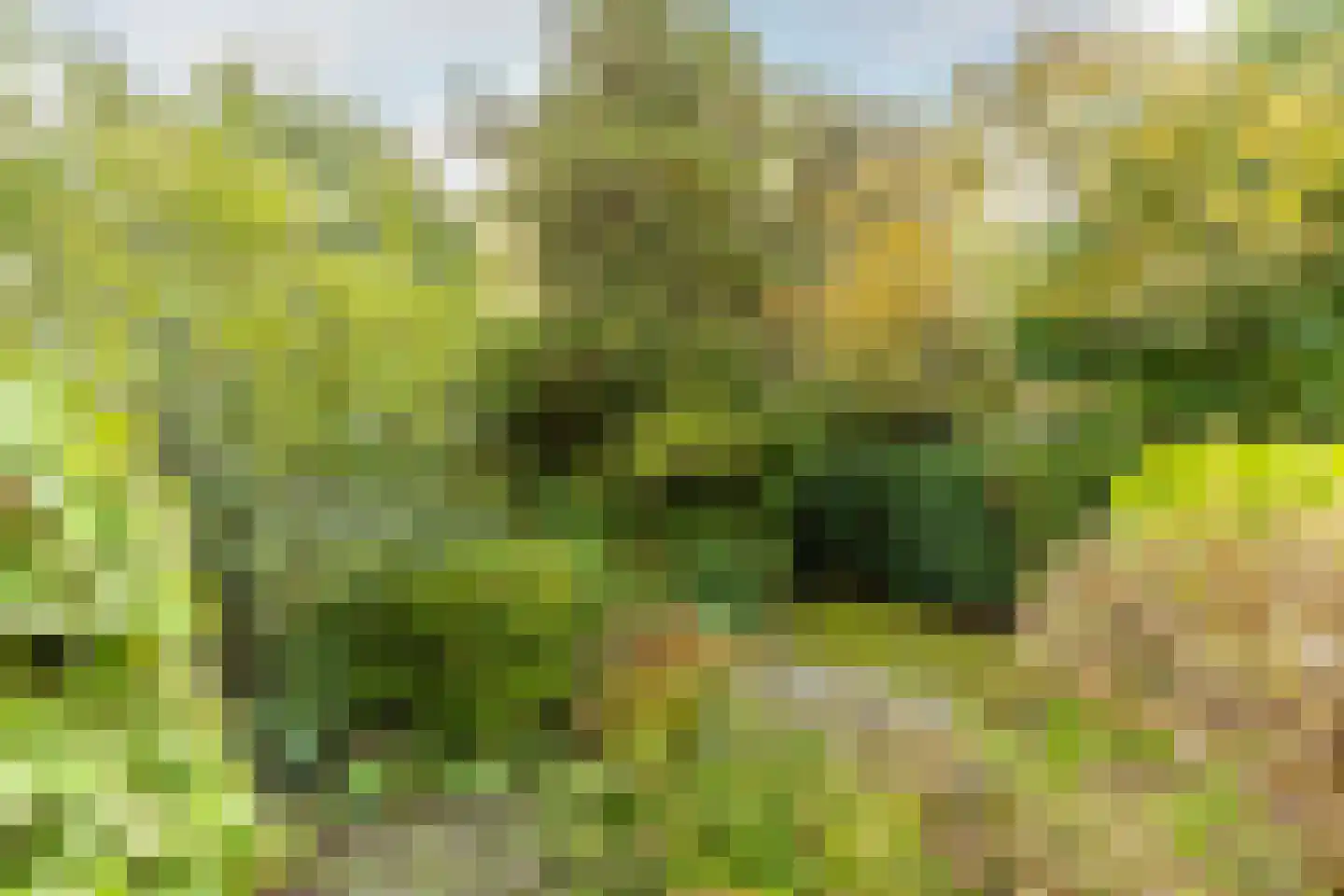 de Ruyterlaan 32 Bennebroek thumbnail 31