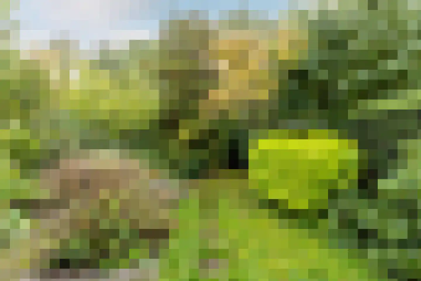 de Ruyterlaan 32 Bennebroek thumbnail 32