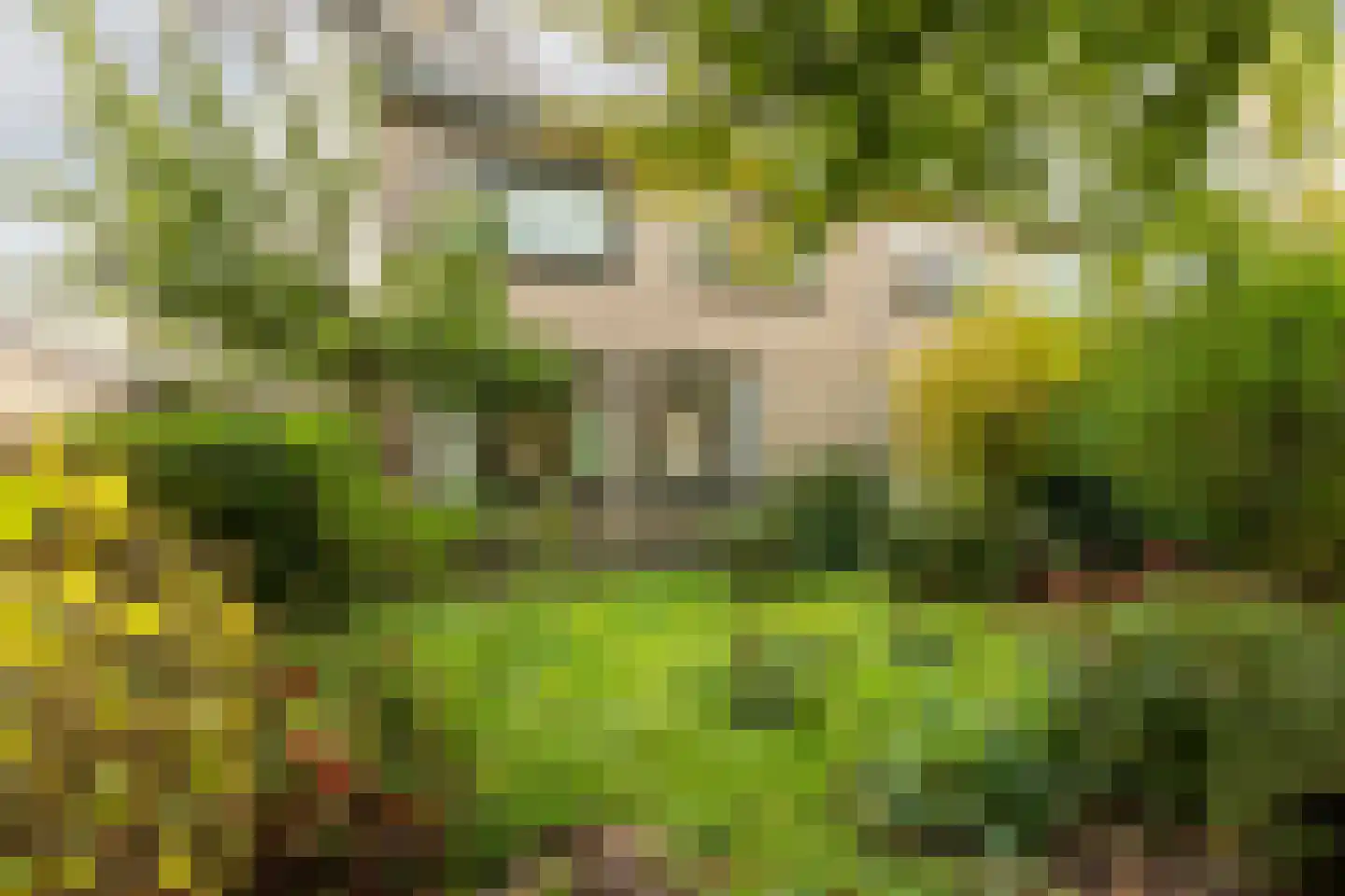 de Ruyterlaan 32 Bennebroek thumbnail 33