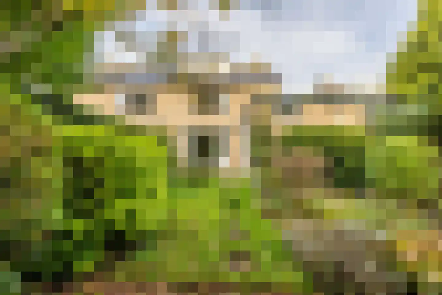 de Ruyterlaan 32 Bennebroek thumbnail 4