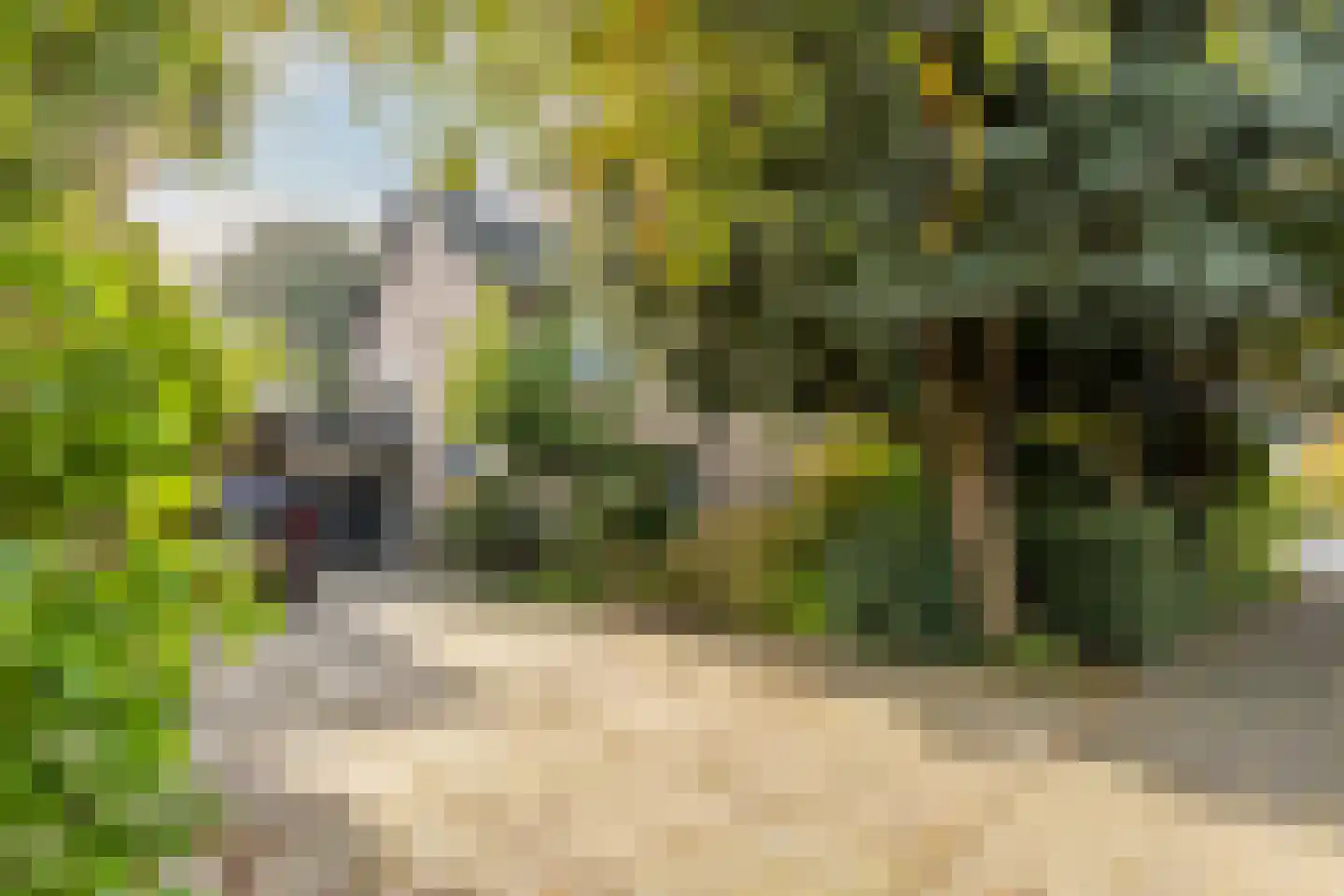 de Ruyterlaan 32 Bennebroek thumbnail 5