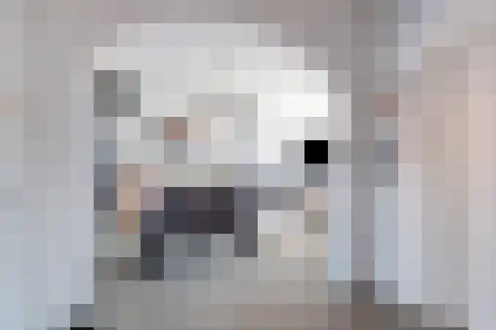 de Ruyterlaan 33 Clinge thumbnail 11