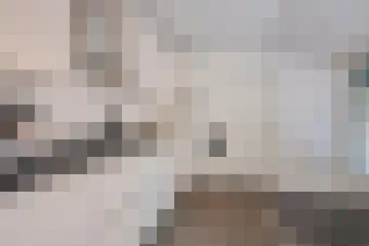 de Ruyterlaan 33 Clinge thumbnail 14