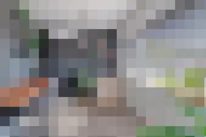 de Ruyterlaan 33 Clinge thumbnail 22