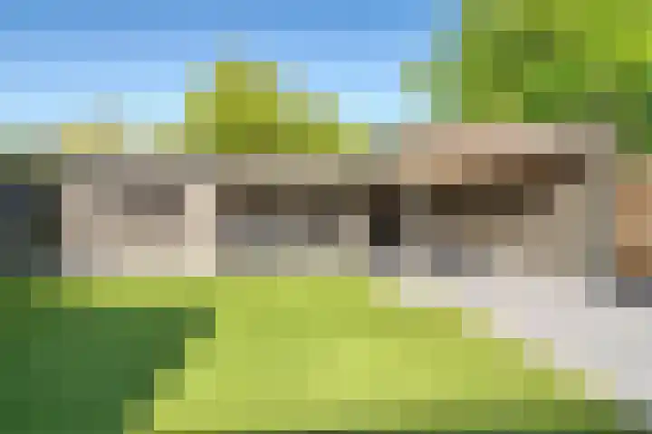 de Ruyterlaan 33 Clinge thumbnail 28