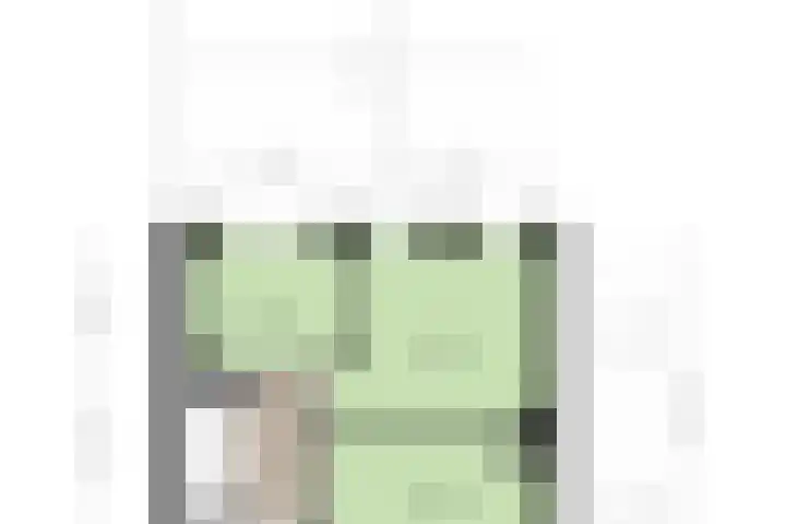 de Ruyterlaan 33 Clinge thumbnail 33