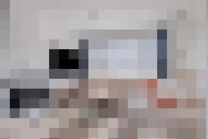de Ruyterlaan 33 Clinge thumbnail 6