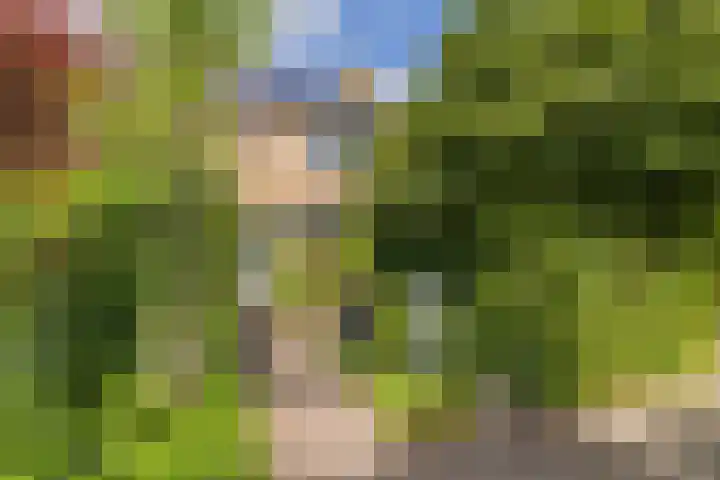de Ruyterlaan 35 Bennebroek thumbnail 7