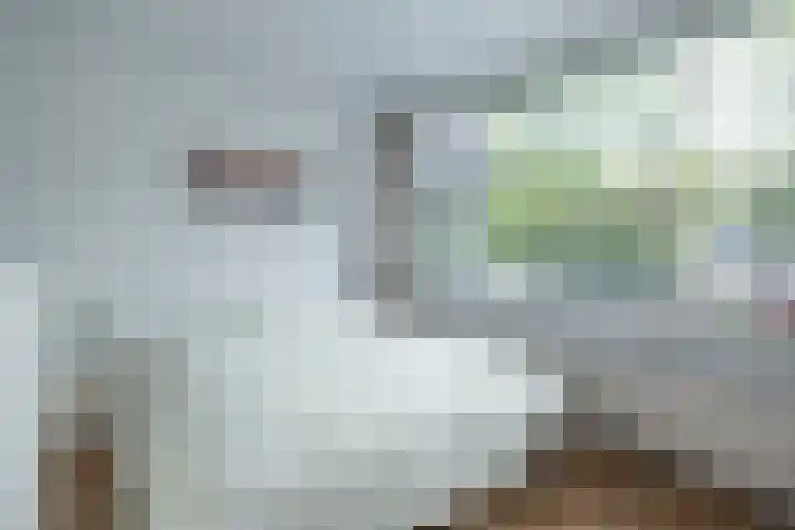 de Ruyterlaan 7 Doorn thumbnail 16
