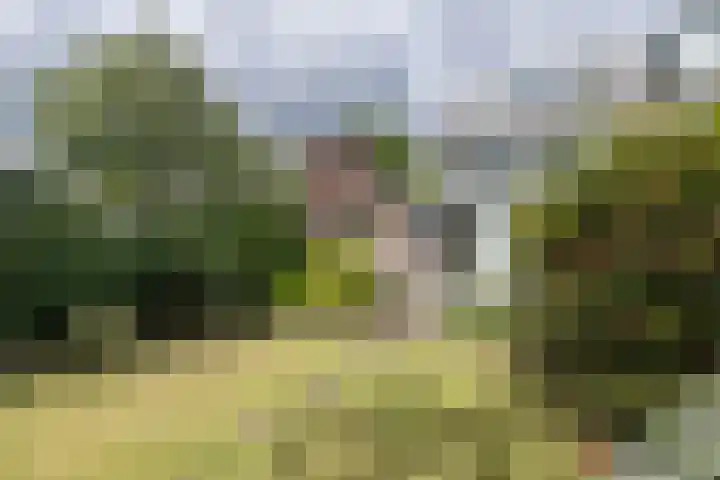de Ruyterlaan 7 Doorn thumbnail 30
