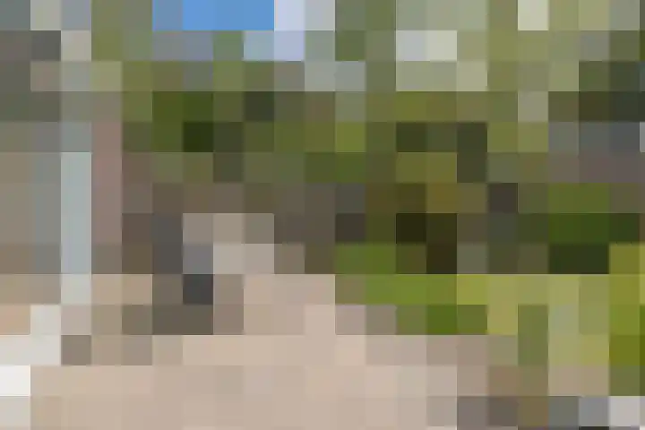 de Ruyterlaan 7 Doorn thumbnail 31